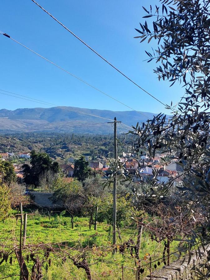 Apartamento Casa Das Cortes - Serra Da Estrela Gouveia  Exterior foto
